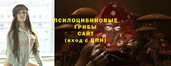 a pvp Арсеньев